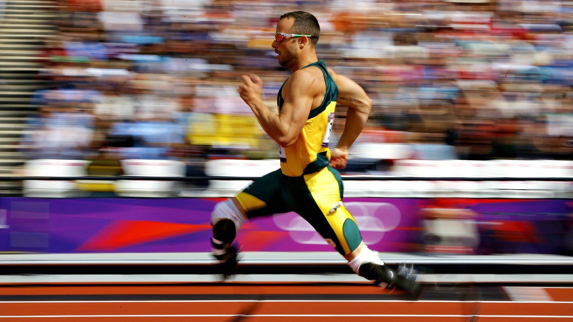 “尼古拉斯·桑特基的精准传球与快速突破，带领美洲狮队走向国际舞台”